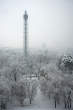20121214_094219 Torre Branca nel parco innevato.jpg